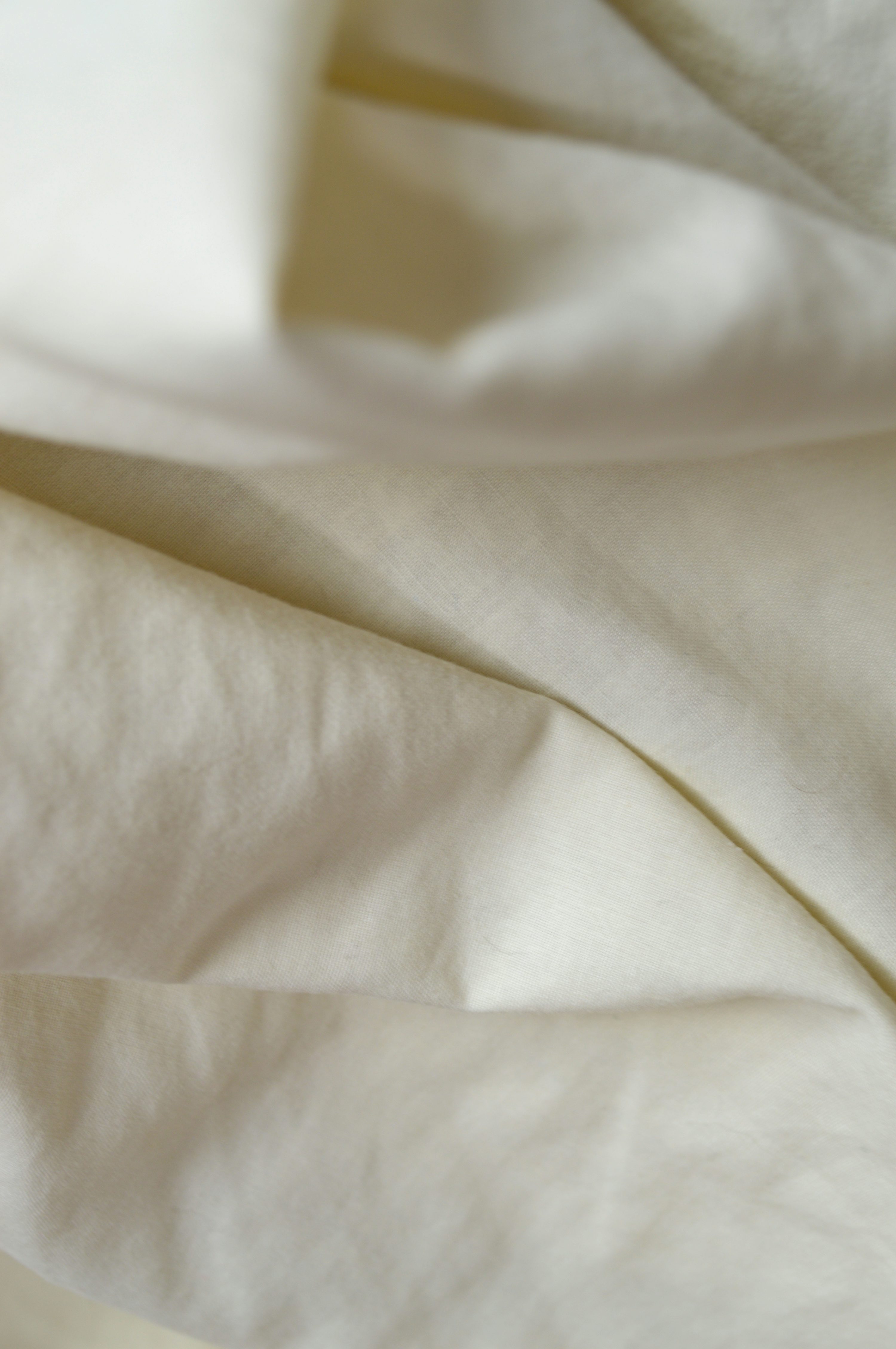 Sheeting from Active Crafts — Fabrics